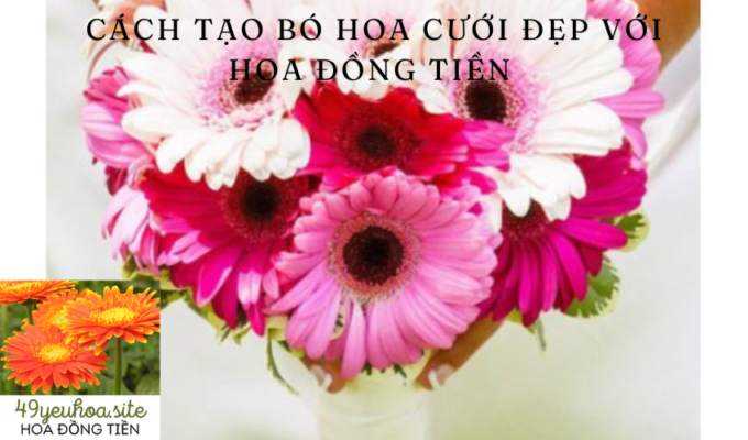 Cách tạo bó hoa cưới đẹp với hoa đồng tiền 