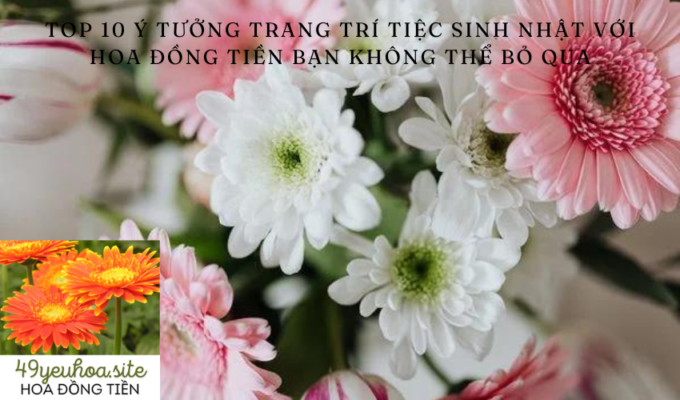 Top 10 ý tưởng trang trí tiệc sinh nhật với hoa đồng tiền bạn không thể bỏ qua